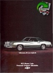 Chevrolet 1976 365.jpg